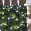 5MM 4'x6' Cool White LED Net Lights, Green Wire
