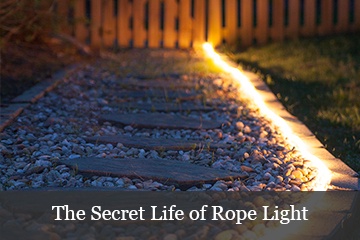 Rope Light Ideas for Outdoor Landscape Lighting