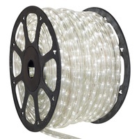 White Rope Lights
